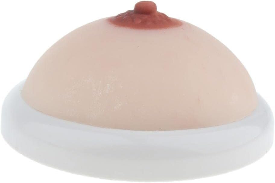 Silicone Breast Model with Base for Lactation Instruction and Breastfeeding Teaching Aid (5.71 inch Diameter, 2.36 inch Height)
