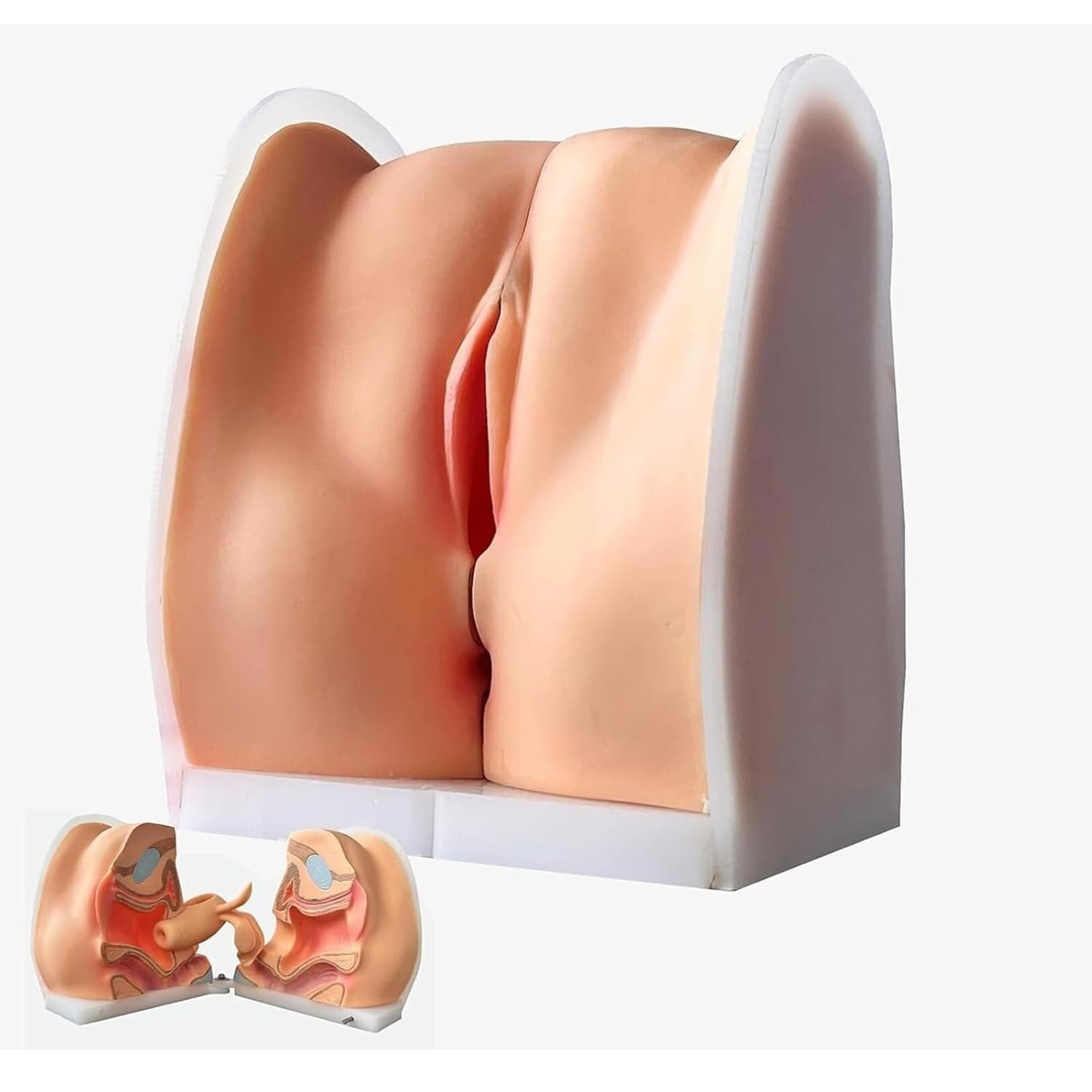 Female Gynecological Anatomy Model, 1:1 Silicone Vagina Cervix Uterus – Contraception Demonstration & IUD Insertion Practice for Medical Education
