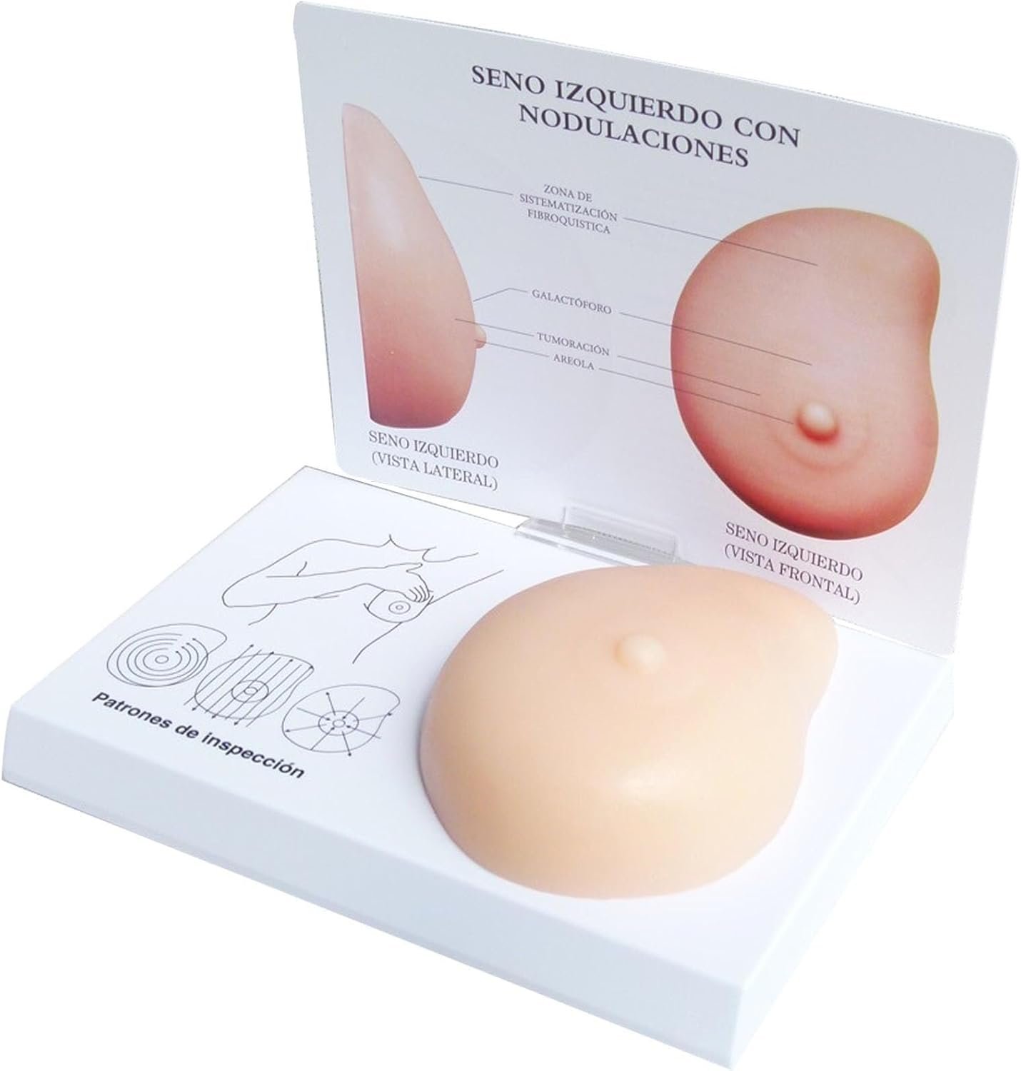 Breast Cancer Anatomy Model Medical Practice Training Model, Human Silicone Breast Model Model, pathological Mass Breast self-Examination Model