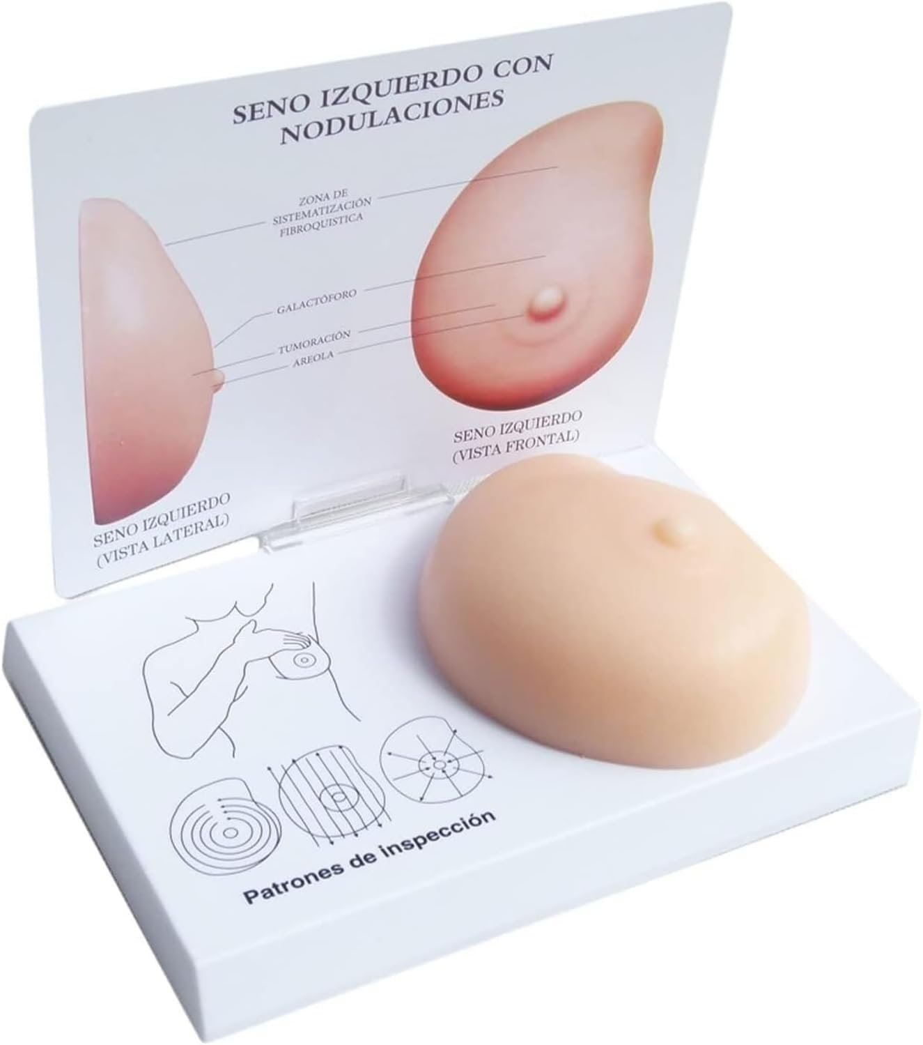 Silicone Breast Anatomical Model – Pathological Lumps for Breast Self-Exam Teaching & Doctor-Patient Communication Natural
