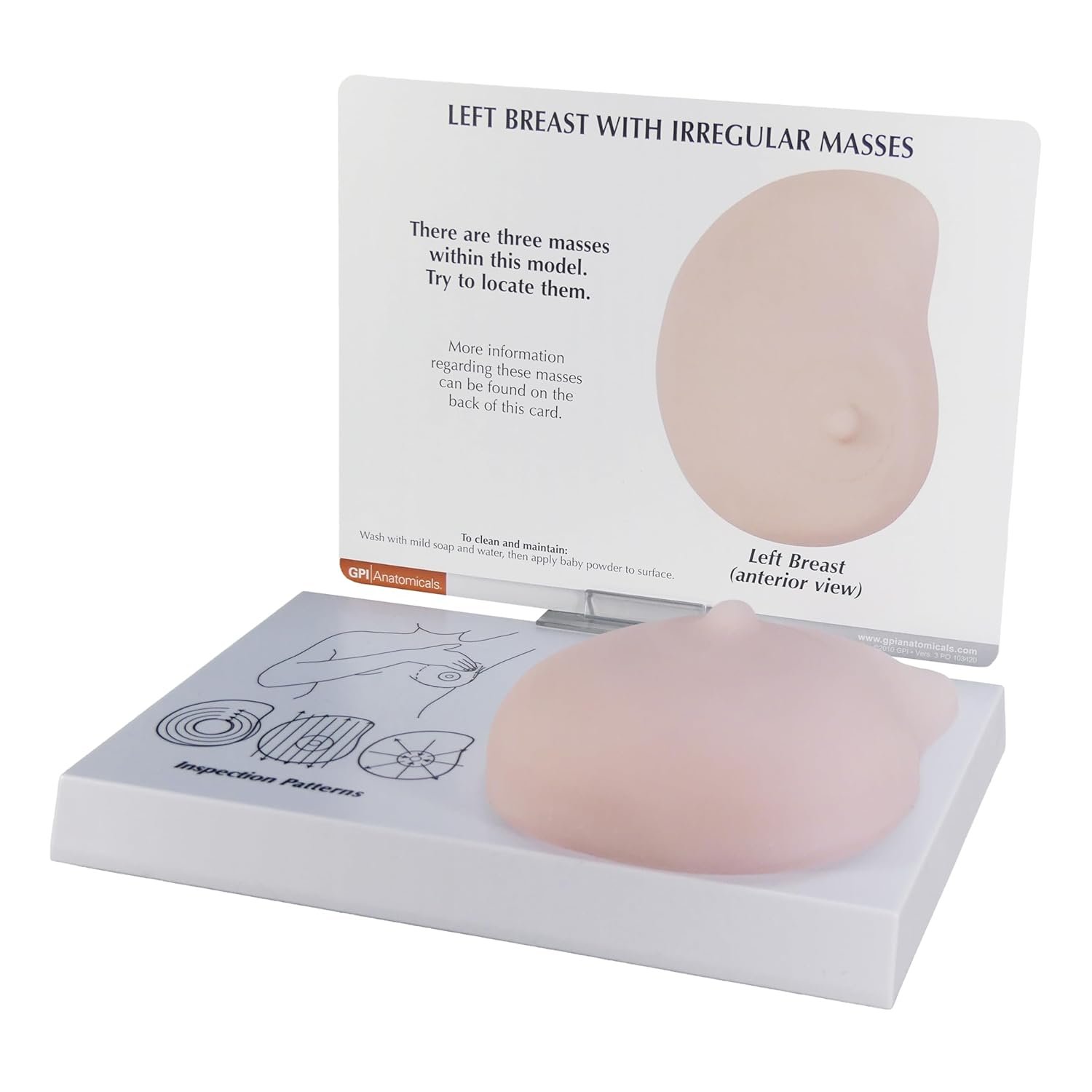 GPI Anatomicals – Human Anatomy Model of Left Breast with Irregular Masses, Replica for Anatomy and Physiology Education, Anatomy Model for Doctor’s Office and Classrooms, Medical Learning Resources