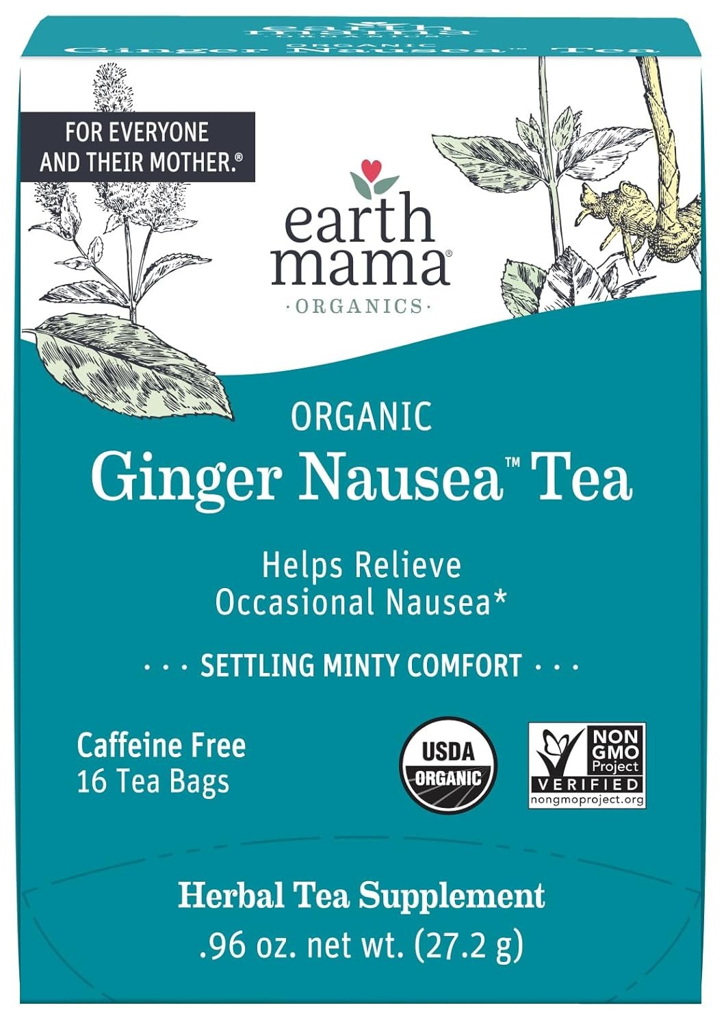 Earth Mama Organic Ginger Nausea™ Tea | Comforts Occasional Nausea + Morning Sickness, 16 Teabags Per Box